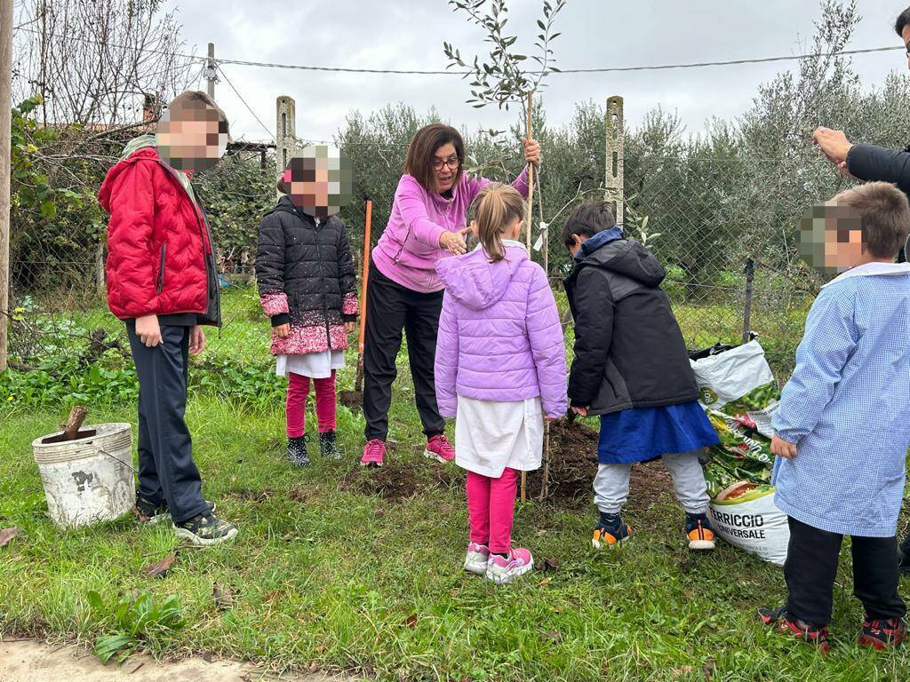 festa dell'albero colle perino