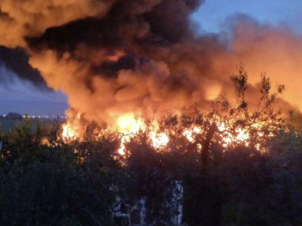 Ancora un incendio inquietante alle porte dei Castelli Romani: fiamme da via Montagnano, Ardea (FOTO)