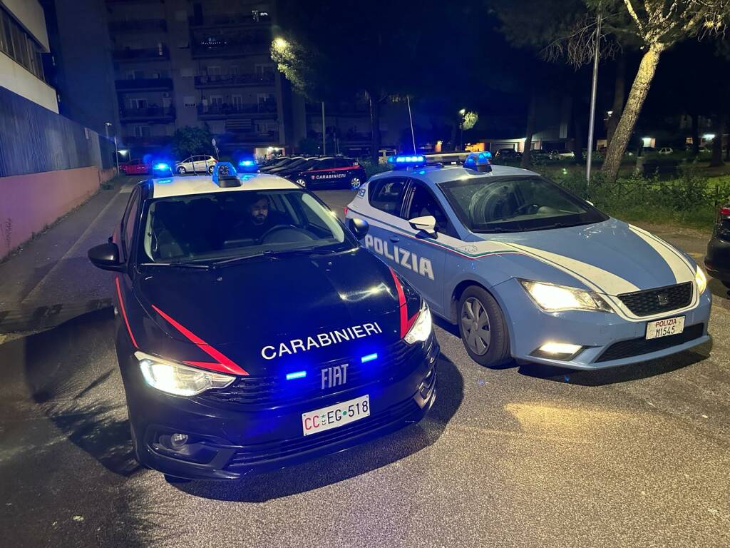 carabinieri e polizia
